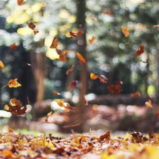 Smooth Autumn