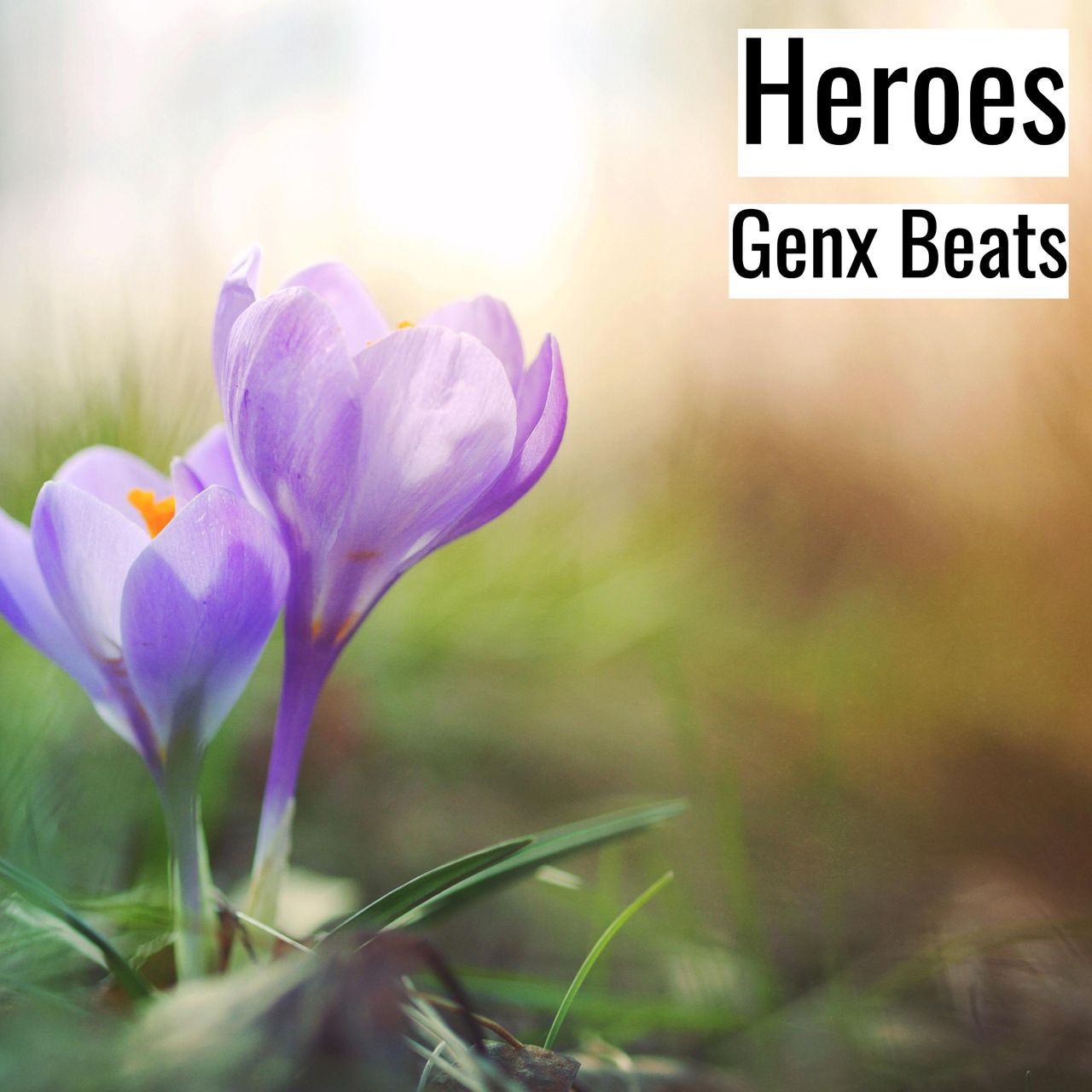 Heroes